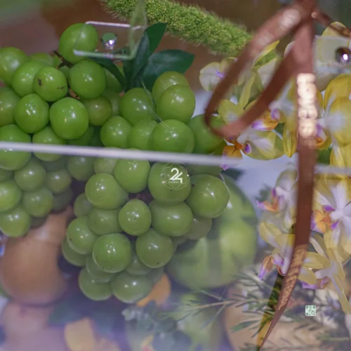 HỘP HOA MICA F24MC004