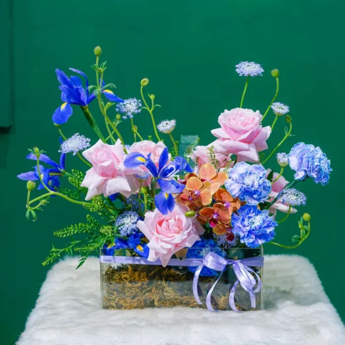 BÌNH HOA CHÚC MỪNG - F24BA028